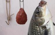 钓鱼的秘诀：揭秘8种专为“割韭菜”设计的渔具