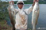 湛江职业海钓人：钓鱼为生，最高日收入达七八千