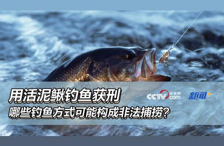 活泥鳅钓鱼获刑：非法捕捞的钓鱼方式有哪些？