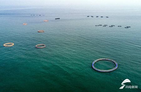 青岛最大海洋牧场：星辰大海的网箱养殖与休闲海钓之旅