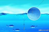 如何调整野钓漂，让浮漂信号更清晰，提高正口鱼的捕获率？