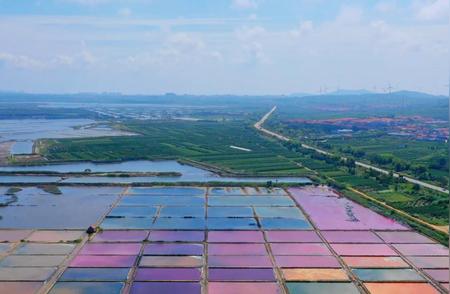 藻类繁殖与海盐析出：中国七彩盐田的壮丽景观