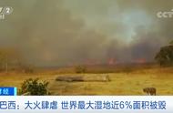全球最大湿地遭受火灾侵袭，近6%的面积被毁！