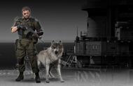 揭秘历史上十种最出色的军犬品种，哈士奇竟然榜上有名