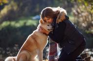 忠诚的八公：六种值得你一生陪伴的优秀犬种
