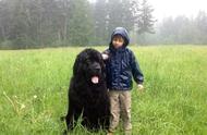 摄影师妈妈的日常：记录儿子与两只纽芬兰犬的欢乐时光