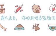 揭秘真正的“中华名犬”：你敢挑战獢獢的名字吗？