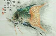 探索中国斗鱼的原生种类：你见过哪些？