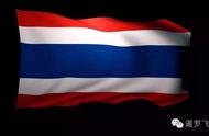泰国暹罗斗鱼：国旗图案使其价值翻倍