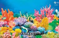 珊瑚：植物还是动物？