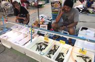 曼谷小龙虾价格惊人，一对竟高达120元？