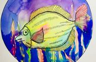 《彩色鱼》：少儿创意美术课程