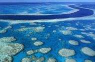 珊瑚白化：海洋气候变化的元凶？