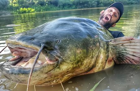 揭秘世界上最大的淡水鲶鱼