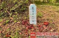 广西小区惊现宠物坟墓，业主担忧健康风险