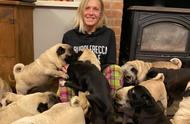 英国女子与30只巴哥犬的感人故事
