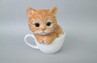 揭秘最受欢迎的茶杯猫，娇小身姿惹人爱