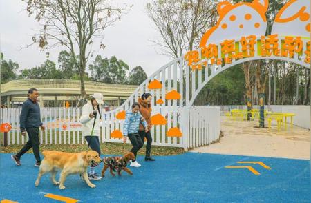 探索新安公园全新宠物友好空间，尽享人与宠物的欢乐时光