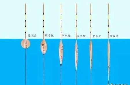 钓鱼必备神器：鱼漂品牌大解析