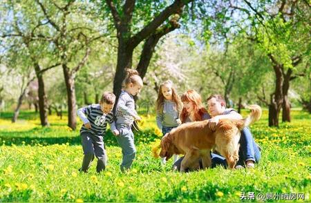 赣州设立宠物专属公园：优势与可行性探讨