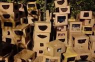 上海街头惊现被遗弃的宠物盲盒，背后的故事令人深思
