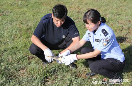 新疆民警展现人间大爱，救助珍稀动物暖人心