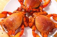 全球美食之旅：口感绝佳的螃蟹大盘点