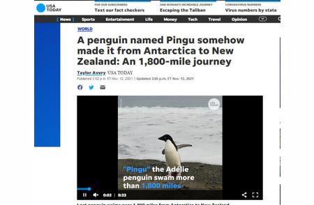 探秘南极洲：一只阿德利企鹅的2900公里漂流之旅