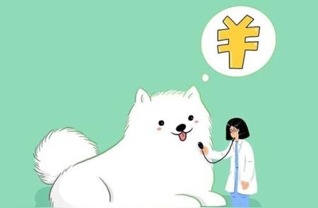 揭秘宠物医疗高消费：为何费用动辄上千元？