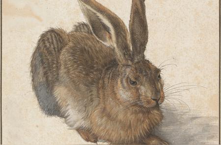 探索丢勒的《野兔》：西方美术中的兔子之美