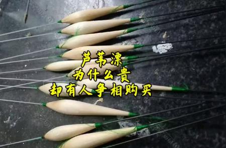 揭秘芦苇漂：高价背后的魅力所在