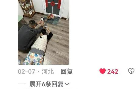 揭秘养猫前后：态度180度大转变！