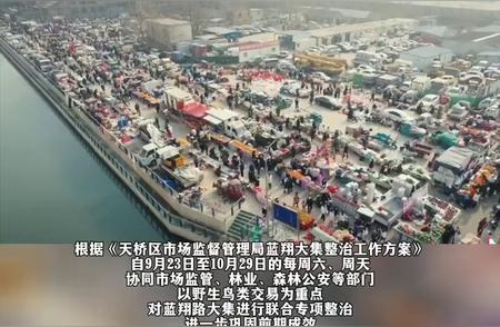 济南蓝翔大集宠物交易取消，多部门联合整治行动解读