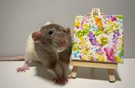 英国宠物鼠的艺术天赋：画画与抽象画作的奇妙世界