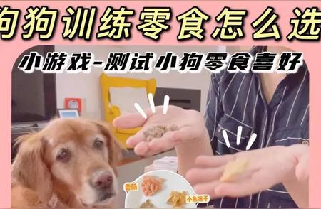 掌握技巧：轻松为宠物挑选健康零食