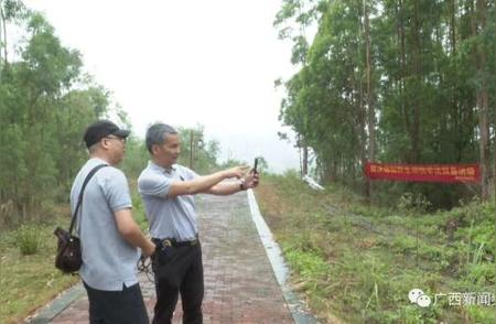 南宁灵龟山公园惊现神秘生物，疑似野生豹猫，市民纷纷围观