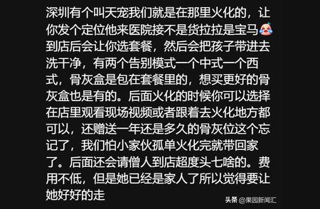 宠物殡葬：情感与商业的交织