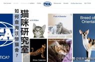 轻松掌握：如何查询TICA注册的正规猫舍