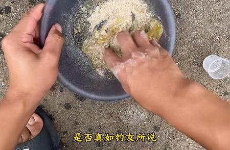 钓鲫鱼饵料秘笈：选择香腥交融的饵料轻松上大鱼