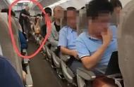 女子飞机上携带宠物鼠发生逃脱事件，航班遭遇延误
