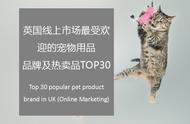 英国最受欢迎的线上宠物用品品牌TOP30解析