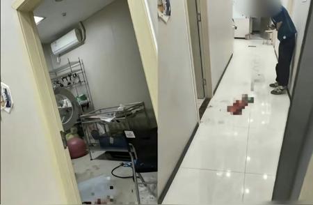 广州宠物医院高压氧舱事故内幕揭秘
