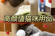京东萌萌鸭宠物用品店：精选猫咪用品大放送！