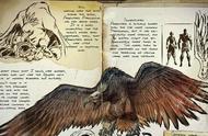 揭秘史上体型最大的鸟类：阿根廷巨鹰传奇