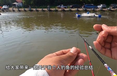 钓鱼新手入门指南：分享初次钓鱼的经验与教训