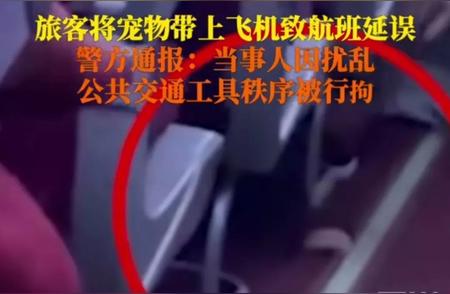 宠物鼠登机引发关注，上海一航班惊现小鼠乘客！