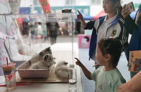鞍山宠物交易大会：小宠物促成大规模产业