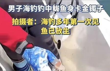 青岛男子海钓时意外捕获金镯子？揭秘真相