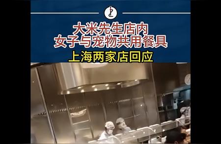 上海餐厅开启宠物友好模式：人狗同餐引发新思考