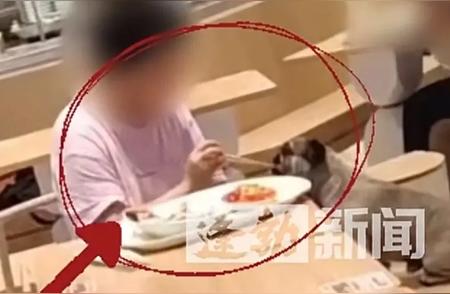 上海餐厅新潮流：人狗共餐，何为宠物友好新定义？
